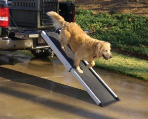 Pet Ramps For Dogs