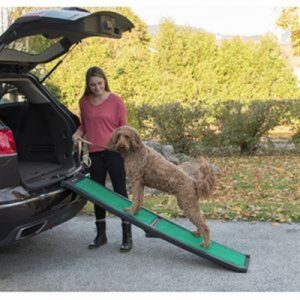 Pet Ramps For Dogs