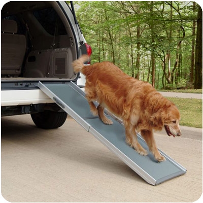 Pet Ramps For Dogs