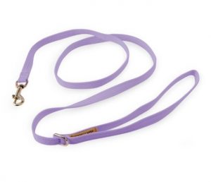 Cute leashes for dogs