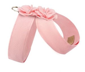 Comfortable harness for dogs