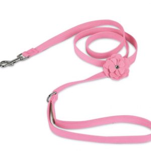 Cute leashed for dogs