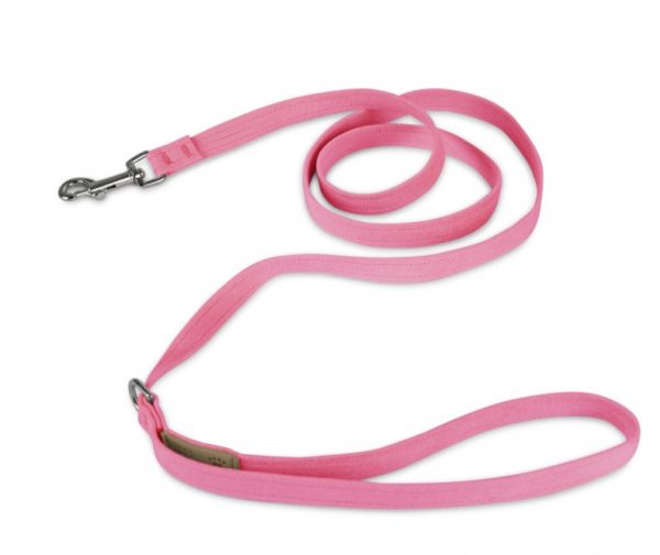 Cute leashes for dogs