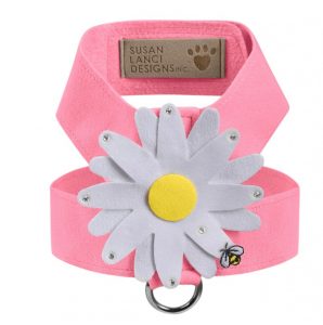 Comfortable harness for dogs