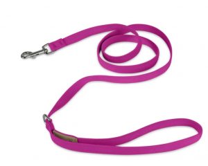 Cute leashes for dogs