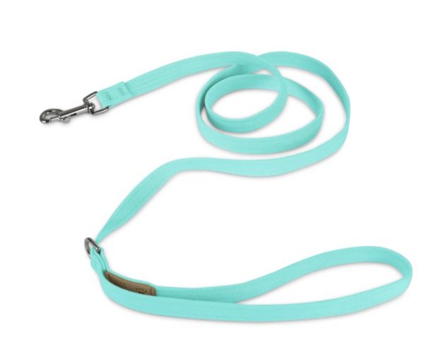 Cute leashed for dogs