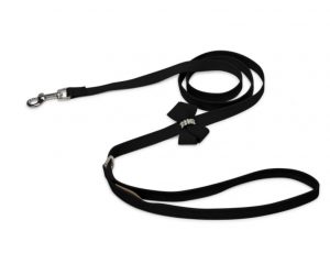 Cute leashes for dogs