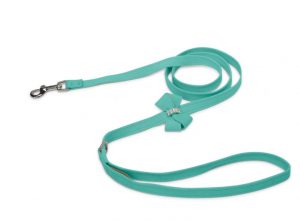 Cute leashes for dogs