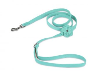 Cute leashes for dogs