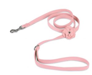 Cute leashes for dogs