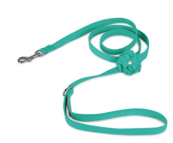 Cute leashes for dogs