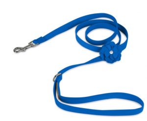 Cute leashes for dogs