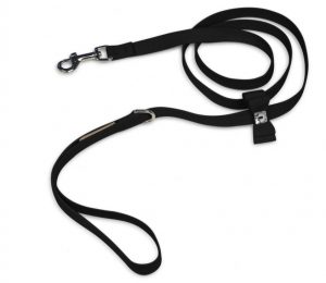 Cute leashes for dogs