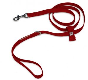 Cute leashes for dogs