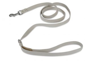 Cute leashes for dogs