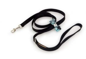 Cute leashes for dogs