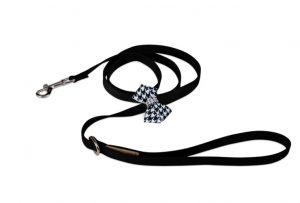 Cute leashes for dogs