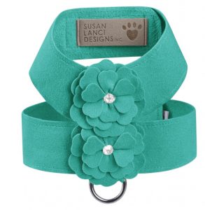 Comfortable harness for dogs