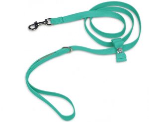 Cute leashes for dogs