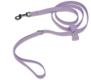 Cute leashes for dogs
