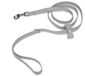 Cute leashes for dogs
