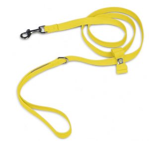 Cute leashes for dogs