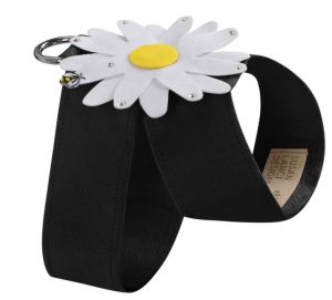 Cute leashes for dogs