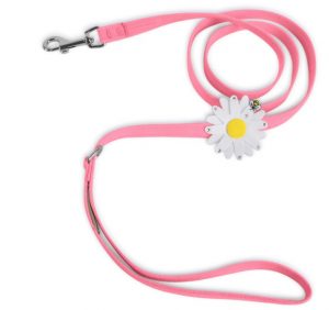 Cute leashes for dogs