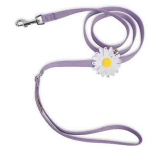 Cute leashes for dogs