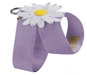 Comfortable harness for dogs