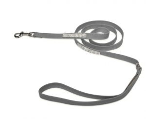 Cute leashes for dogs
